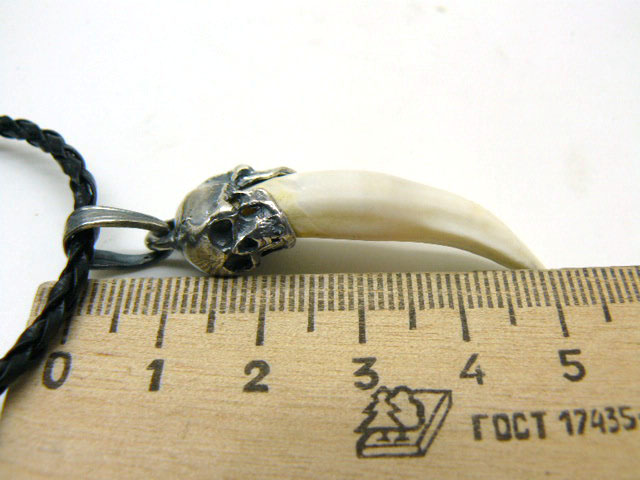  Кулон-амулет клык крокодила с навершием из черепов серебро 925 подарок парню мужчине девушке женщине 