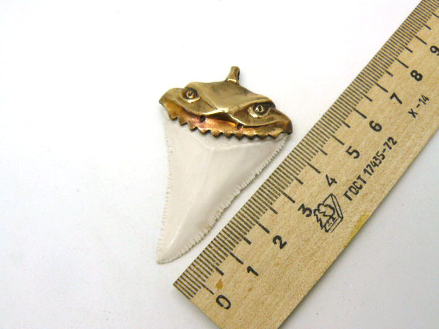  Кулон, амулет, зуб белой акулы (копия с коллекционного) длиной 5 см бронза подарок парню мужчине девушке женщине авторская работа 