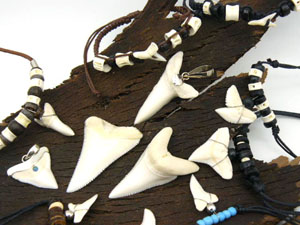  Мужские кулоны из зуба Акулы в серебре 