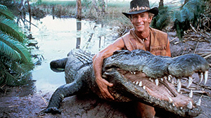  Кулон-амулет-подвеска-оберег-талисман с зубом крокодила в серебряном подарок парню, мужчине  
