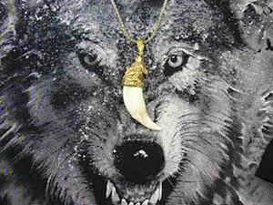  купить клык-амулет-оберег волка покрытие золото 24 карат натуральный клык волка подарок парню мужчине девушке ребенку 