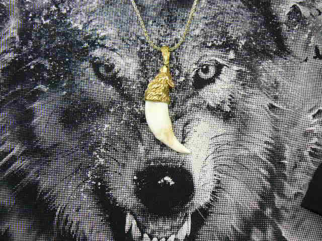  Клык волка покрытие золото 24 карат натуральный клык волка шнур кожаный плетеный с навершием в виде головы воющего волка золото 24 карат серебро 925 пробы подарок парню мужчине  