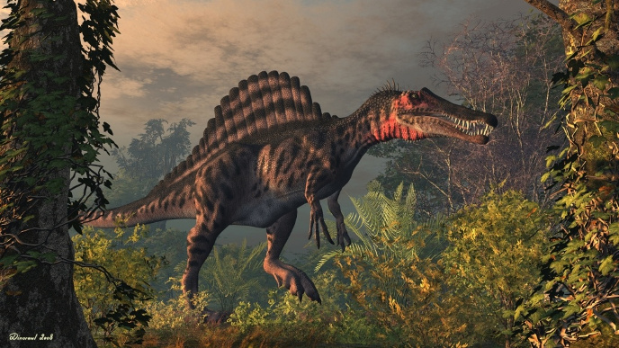  зуб динозавра CПИНОЗАВРА(Spinosaurus aegyptiacus)  подарок парню, мужчине,палеонтологу  новый год, день рождения 23 февраля 
