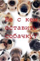 �� � ��� � ��������� �������� ��������� �������?