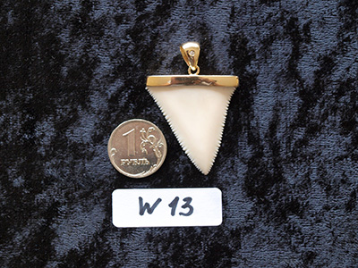  Зуб большой белой акулы длиной 5 см в золотом подвесе с бриллиантом(коллекционный кулон) 