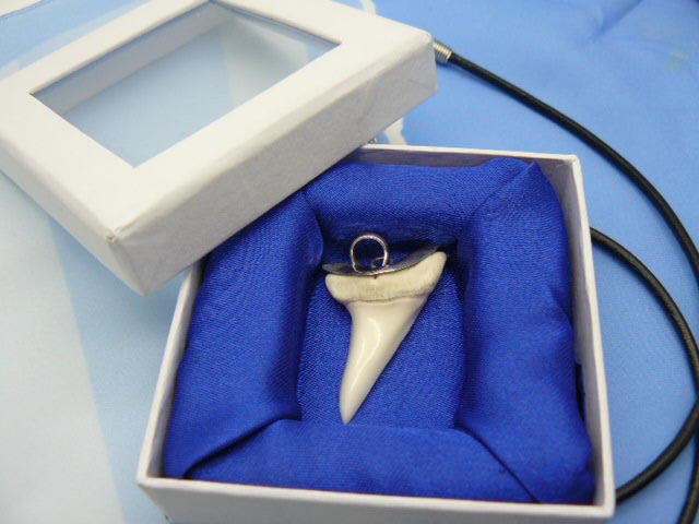  Подарочная коробочка под кулон-подвеску зуб акулы Мако с подвесом серебро  для парня, мужчины, девушки в подарок  