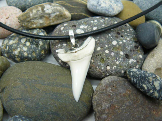 Кулон-подвеска зуб  акулы Мако с  подвесом серебро на кожаном шнуре, чокере длиной 50 см  для парня, мужчины, девушки в подарок 