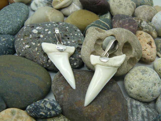  Кулон-подвеска зуб  акулы Мако с  подвесом серебро  для парня, мужчины, девушки в подарок  