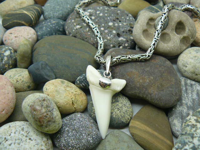  Кулон-подвеска зуб  акулы Мако с  подвесом серебро на цепочке  для парня, мужчины, девушки в подарок  