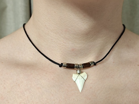  Амулет, оберег, талисман зуб белой рифовой акулы подарок парню мужчине женщине девушке на Новый год, , день рождения, 23 февраля, 8 марта, на день всех влюбленных, на любое торжество и событие в жизни 